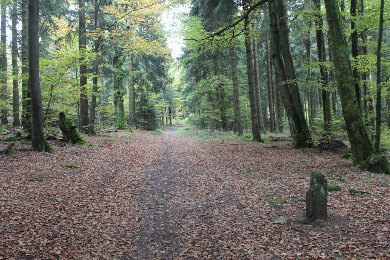 Zuweg Grenzstein